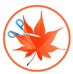 Download Easy Cut Studio 4.1.0.5 Latest Version